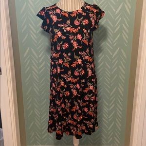 NWT Ann Taylor LOFT Dress Size M Tall
